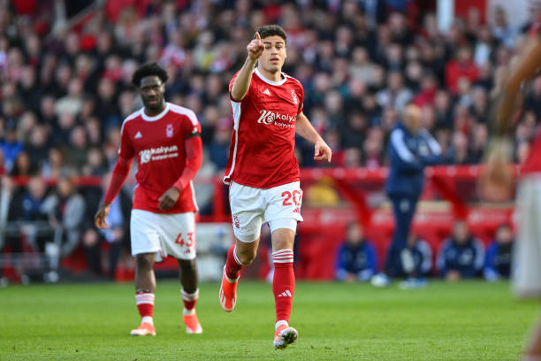 球粉丝文化 球粉丝文化