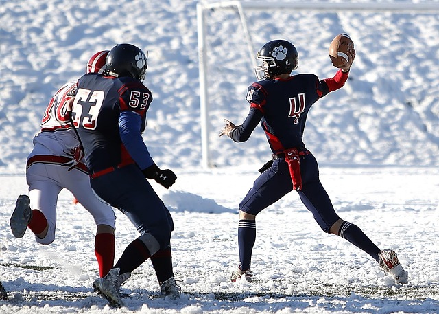 态度顽强的 态度顽强的
